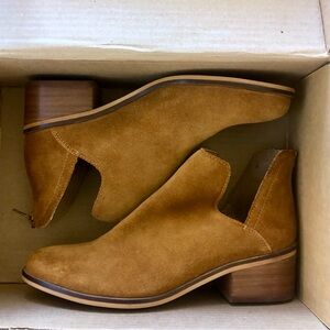 New in box Steve Madden suede ankle boots